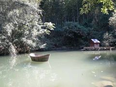 -东林大峡谷