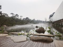 -BLACKSWAN黑天鹅(环球店)