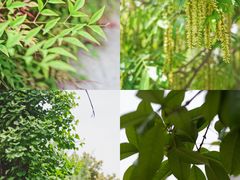 -沙河三洞古桥公园