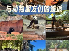 -海南热带野生动植物园