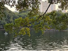 -荔湾湖公园