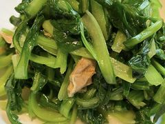 鸡毛菜炒腐衣-玫瑰厅上海菜(兴国路店)