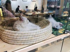 -藏猫猫咖啡主题馆(中央大道店)