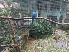 -九龙公园