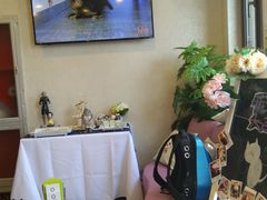-宠爱国际动物医院·消化内科·心肾内科·ISFM猫友好(望京店)