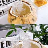沈阳探店 | 好吃不怕胖0卡糖魔芋椰子河粉🥥