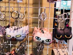 -猫咪博物馆(顶澳仔猫街店)