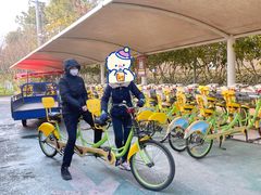 -合肥滨湖国家森林公园