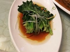 广东菜心-河南食府(人民路店)