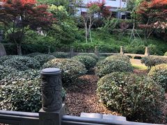 -十八棵（老龙井）御茶园(老龙井店)