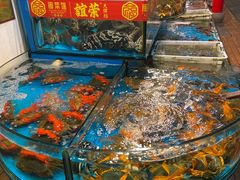 -谊荣海鲜大牌档(石湖店)