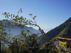 -云阿蛮云南生烫牛肉米线(奉贤路店)