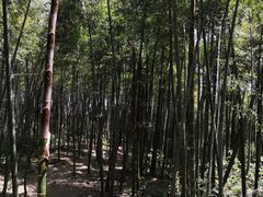 -径山寺