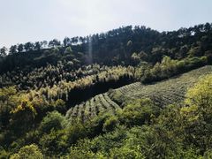 -敬亭山风景名胜区