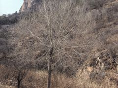 -沕沕水生态风景区