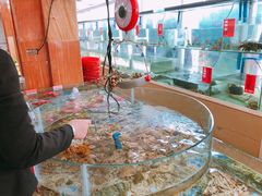 龙虾-南庄酒家·海鲜粤菜·25年老字号(环城南路店)