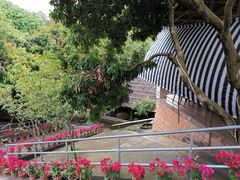 -满記土窑烧鷄波浪山莊