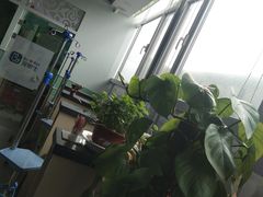 -美联众合动物医院(唯恩分院)