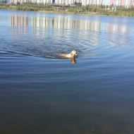 -永定河休闲森林公园