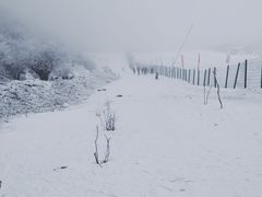 -太子岭滑雪场