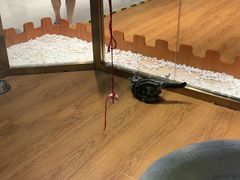 -乐宠宠物店(世纪金源店)