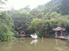 -黔灵山公园