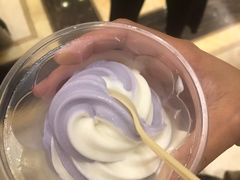 雪糕-新世纪大酒楼·30年南海菜