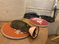 -逃脱反斗城沉浸剧情密室(北京路店)