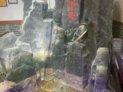 -玉田印象