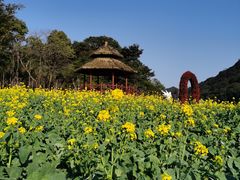 -广州市石门国家森林公园