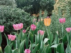 -中海环宇荟