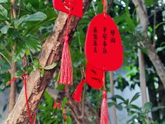 -山塘街