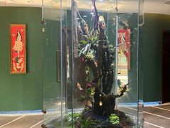 -泰悠谷养生SPA(世茂商业街店)