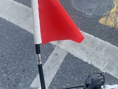 -老头儿油爆虾(金沙印象城店)