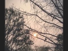 -成都南湖公园