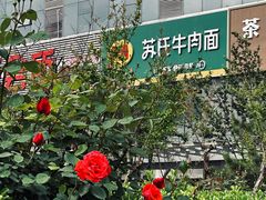 -苏氏牛肉面(丰北桥店)