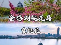 -金鸡湖桃花岛