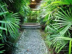 -罗浮山嘉宝田森林温泉度假酒店