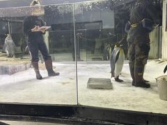 -悉尼海洋生物水族馆