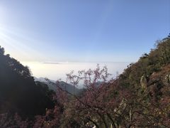 -偏爱炒鸡(老县衙店)