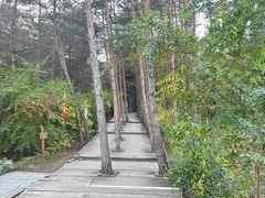 -帽儿山国家森林公园