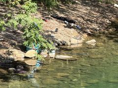 -石台牯牛降景区