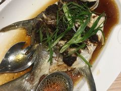 清蒸石斑-Isla Sugbu Seafood City