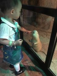 -酷嗒动物文化乐园(cutezoo西溪乐天城店)