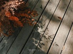 -怪咖·joker陈楠