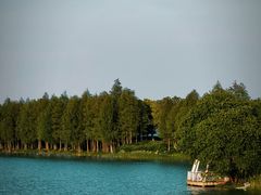 -贡湖湾湿地公园
