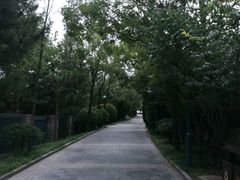 -芭东小镇温泉