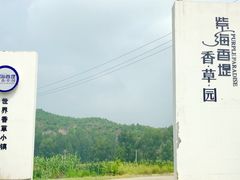 -紫海香堤香草艺术庄园