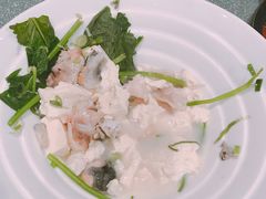 -峨嵋一派