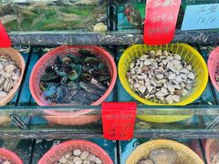 -鑫鸿达·海鲜闽菜热炒小馆(中山路店)